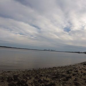 Meet your Posher, Susie